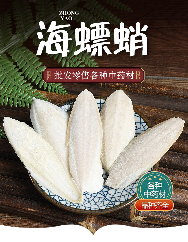 Hai Piao Xiao (Sepia esculenta) — Dried Cuttlebone Piece, Traditional Chinese Herb overview