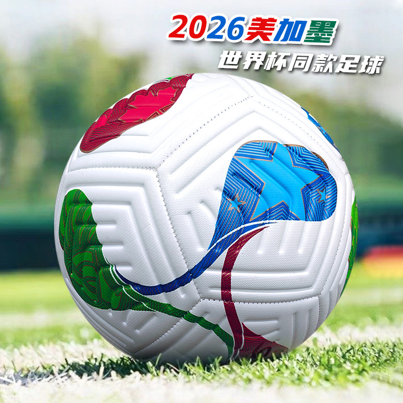 12片机缝小花+打气筒 / 5号球(标准用球)