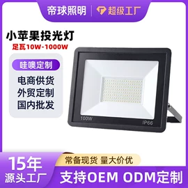 投光灯;泛光灯;太阳能灯