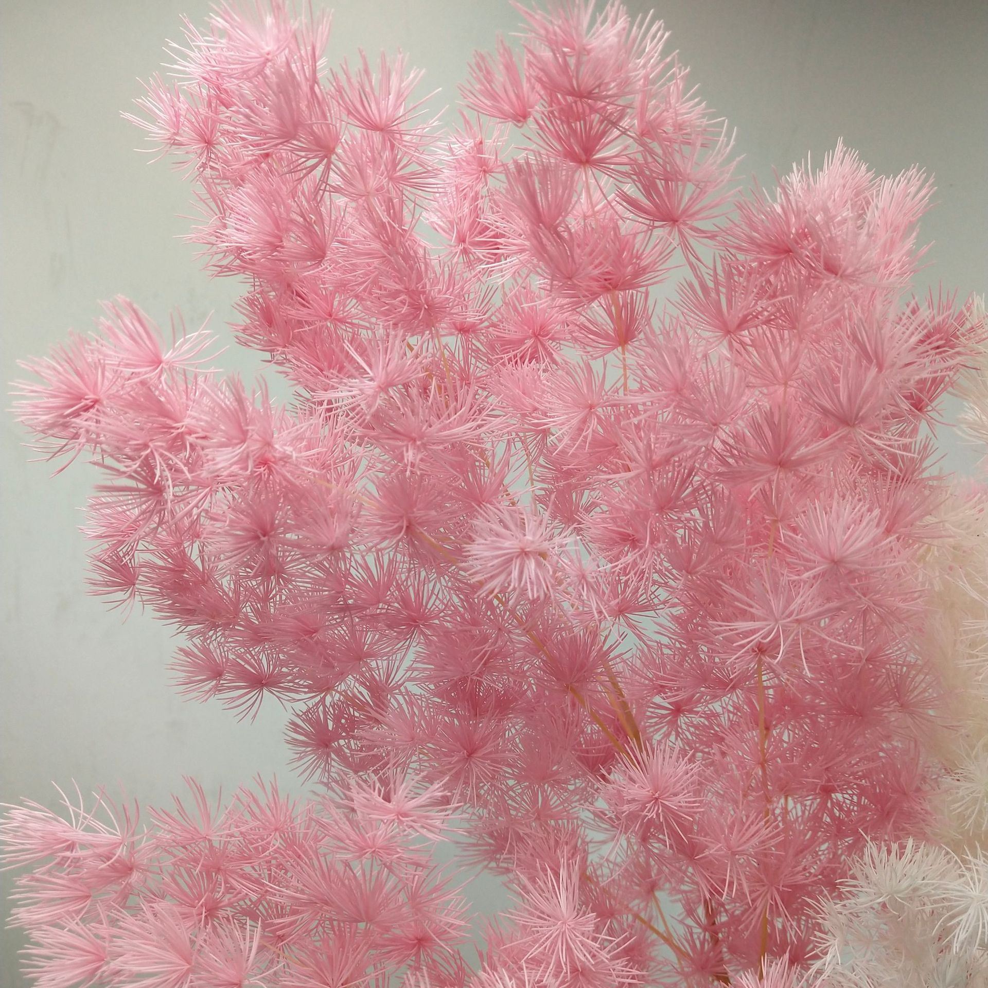 60178684c852d90ed44c9622499ed6