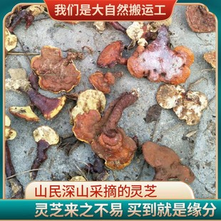 �F؛��ɽ���r�`֥������Ƭ�`֥Ƭʳ�þ������ݾƟ����`֥���l