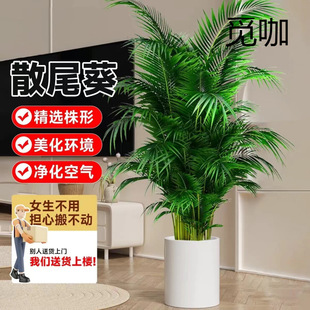 ɢβ���������Ը��FҬ��ֲ�Pβ��W�tֲ��ؿ͏d�҃�2��16�հl��