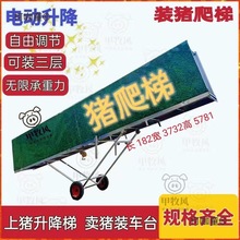 �b�i�����u�i�ݳ��i���į���i���s�į�b�iж�i�^���bһ����̫��