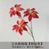 Three-headed clematis-orange