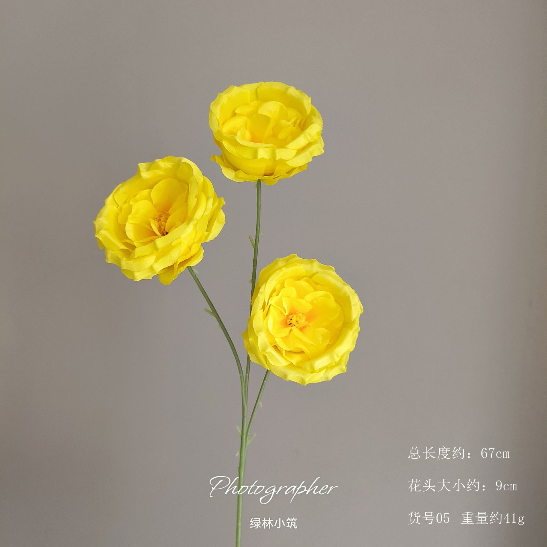 품목 번호 05-3 오스틴