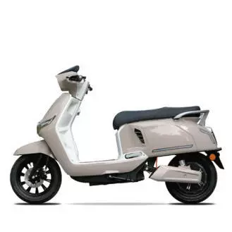 and Electric Scooters, Elektrikli motosikletlər