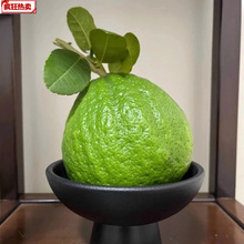 ����㙴���r�㙴�����ָ̬Fժ�幩�^�p����Ȼ��޹��Ȼ����Gֲ