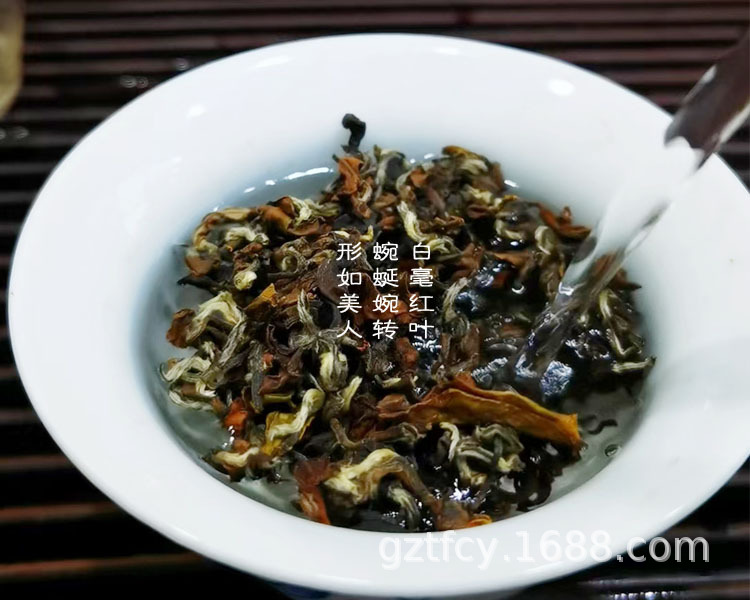 特 东美 750-3.jpg