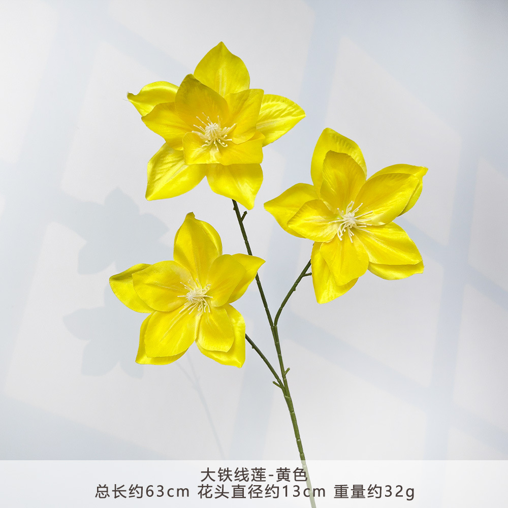 MJ-大铁线莲-黄色