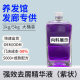Discovery Eucalyptus Strong Dandruff Essence Scalp Essence Care Moisturizing Hair Salon Hair Salon Special Internal Material Sample