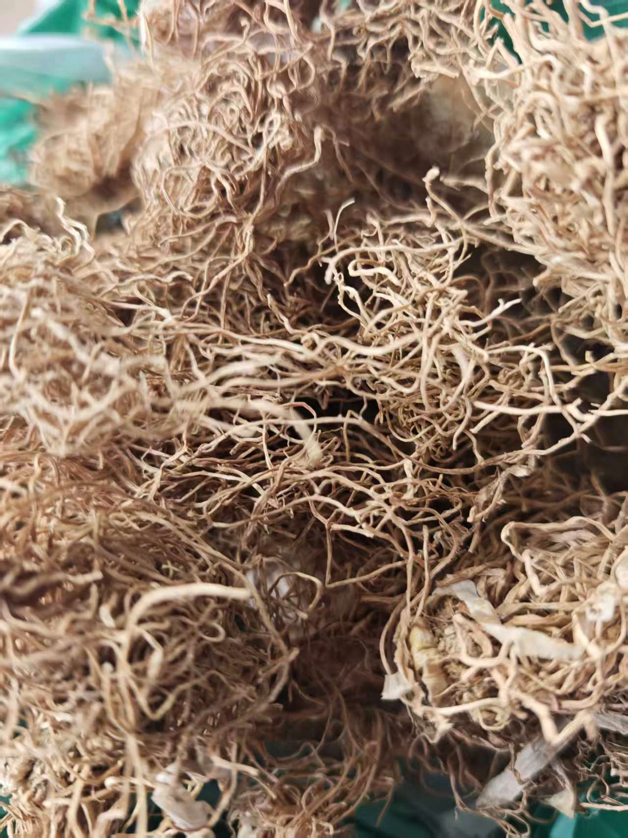 Scallion Root & Scallion White (Allium fistulosum) — Dried Culinary Herb for Cooking & Soup quality and texture