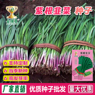 ���l�ϸ��²˷N�Ӽ�ͥ�ļ����Ը��t�����~���~�r�۸��߲˷N�Ѵ�ȫ