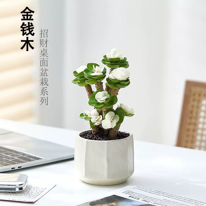 Растение в горшке «Денежное дерево» для внутреннего использования, легко ухаживать в любое время года, суккулентное растение с старым сучком, подходит для украшения зелени в гостиной или офисного рабочего стола.