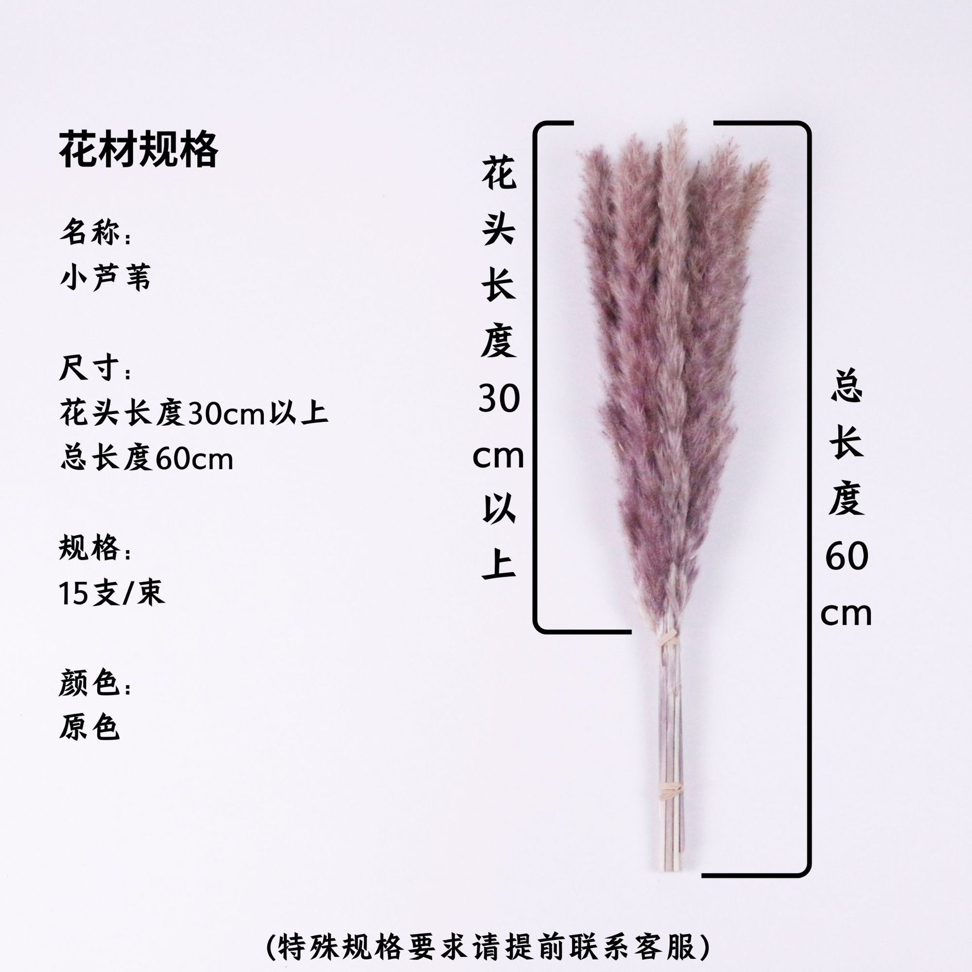 기본 색상 꽃 머리 30cm 이상