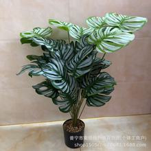 �羳24�^�����~�O���~ɢβ������Gֲ�͏d�Ƶ���������b��쾰��