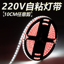 ����220v����ledܛ��10cm���l�������b���ճ����չ���NƬ���l