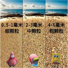 沙龟砂天然沙沙黄金鱼缸底沙粗砂底沙鱼缸造景粗用河沙干沙底儿童