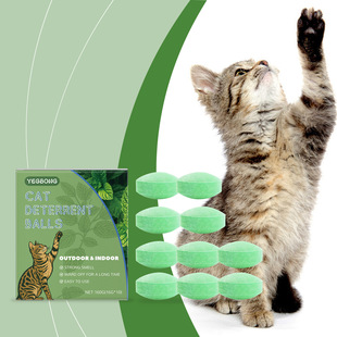 Yegbong ����؈ �҃����؈��ץ�ϼҾӷ��y���ճ�������