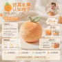 启蒙认知造型助力公仔