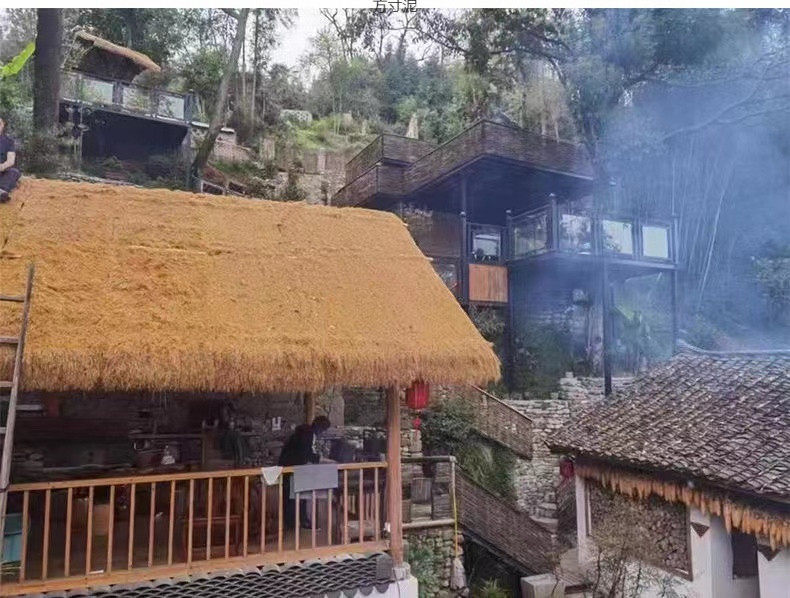 50d33449-0a19-4ad7-b580-3311c1729578.jpe