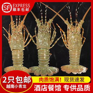 С�������r�r����޺��r��ʿ�D�ش����r���r���ˮ�a����10ֻ���l