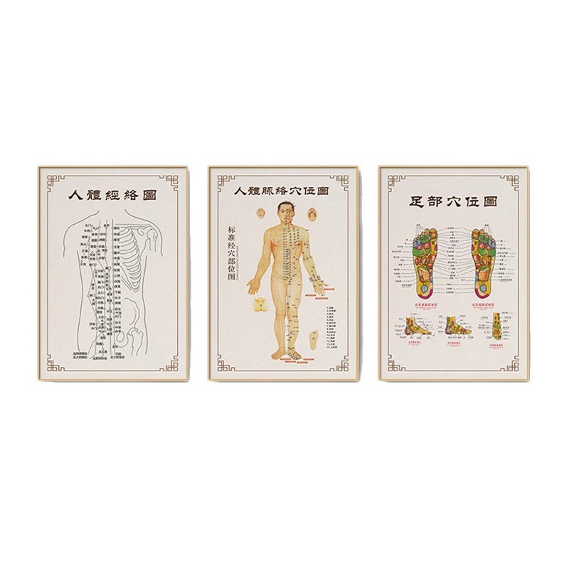 伝統的な中国医学の人体ツボチャート吊り絵美容室健康クリニック経絡チャート装飾絵画鍼治療理学療法室壁画