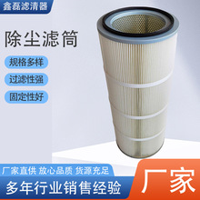 PTFE覆膜聚酯纤维除尘滤筒350x660mm 325*660