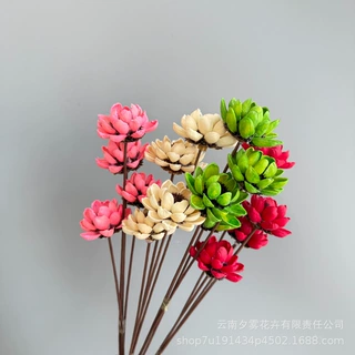 开心花手工干花雪松菊果壳花家居装饰摆件插花 ins风拍照摆件