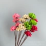拍照手工家居果壳干花
