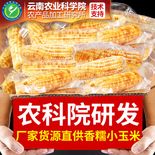 �r��Ժ��ϻ�ŴС�������p��{��ŴС������հ��b��ճŴ���װ�