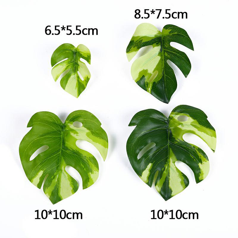 IMG_8628_好压看图