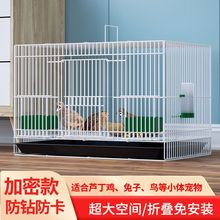 芦丁鸡笼子家用特大号加密鸡笼雏鸡雏鸭鹌鹑鸽子养殖金属笼子折叠