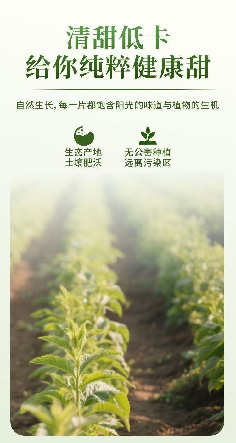 Stevia Leaf Dried Herb Tian Ye Ju Natural Sweetener Herb 100g overview