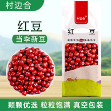 �t��޲�׽M������s�Z�ּZ�r���خa�����ˌ���ԭ�����r��հ��b