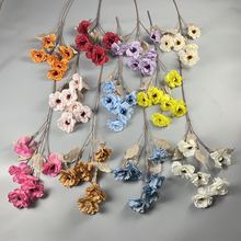 滨6^ɽ軨SlcYòûֱ߲廨ˇ