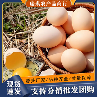 �r�����u��10ö����50���u���r��ɢ�B5���l���]���u��3�����rֱ��