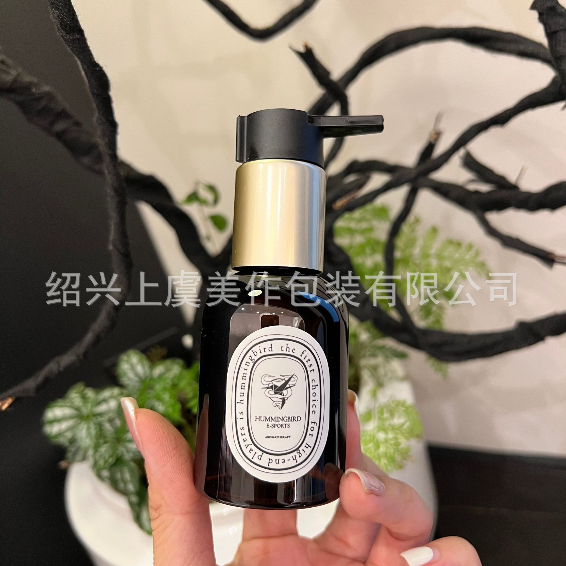 微信图片_20240831170434