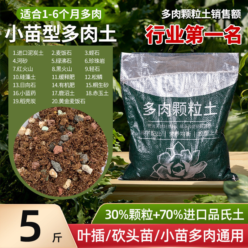 多肉植物粒土、特殊栄養土、医療石、一般花植物多肉植物土、カラフルな小石舗装|undefined