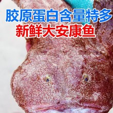 安康鱼5斤新鲜深海大嘴鱼蛤蟆鱼鱼肝鱼肚无刺鱼海鲜水产