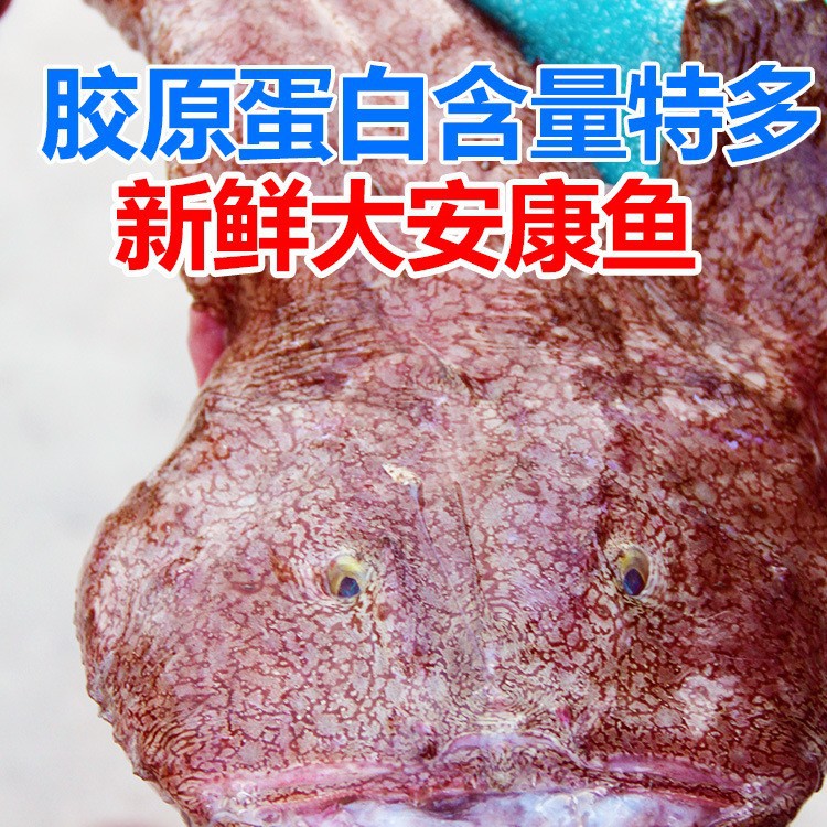 安康鱼5斤新鲜深海大嘴鱼蛤蟆鱼鱼肝鱼肚无刺鱼海鲜水产