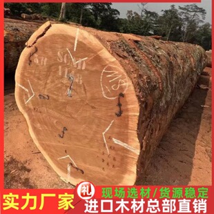 �S�ҹ��� ��̴ľԭľ��� ���� ������ ��ɰ�� ��̴ľ�˰���