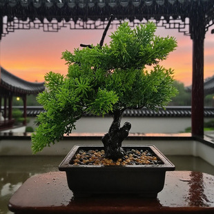Amazon Domestic and International New Chinese-Style Potted Bonsai Outdoor and Indoor Decorations for Wealth and Peace, Coffee Table Ornaments, Artificial Potted Plants