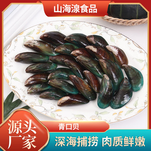 青口贝全壳青口冷冻贻贝海虹贝类烧烤海鲜酒店 自助 烧烤店批发-阿里巴巴