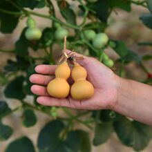 ���̨���ԡ��������JС���J�N�����^�p������J��