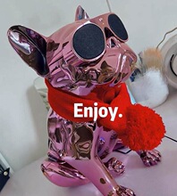 Jarre Aerobull������푼��ßo���{���ص���С��ڷ���Ȯ����