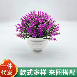 ���l�������Լٻ��辰���컨С�[��31Ŀ���_��С����GֲС����
