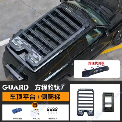Equation Leopard Titanium 7 Roof rack - guardian-series-roof-platform-ladder