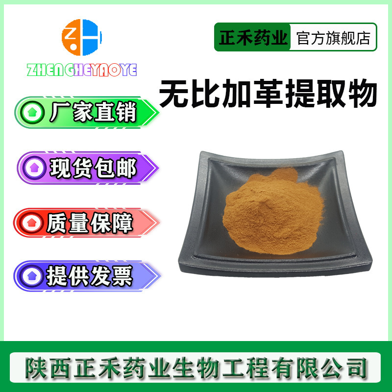 无比加革提取物 50:1 无比加革粉 比例提取 多规格 正禾现货供应