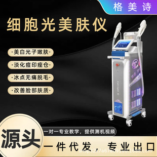 �n������������DPL�K��ţ�̹��������w������������ȥ�tѪ�z�x��