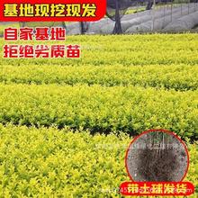 ͥԺ~Ůؑ绨@ý~Gh͟ŮؑɫG